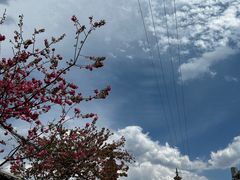 -崇圣寺三塔文化旅游区