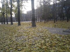 -北京航空航天大学-图书馆