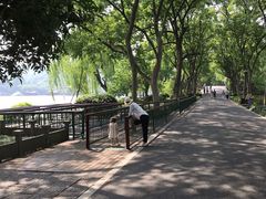 -西湖外事游船(花港观鱼码头)