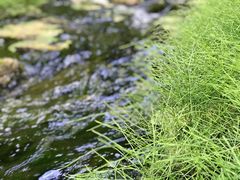 -山西通天峡景区