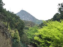 -大罗山风景区