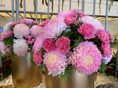 -广交会威斯汀酒店