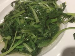 -朝郡酒家·粤菜(燕大星苑店)