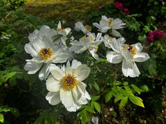 -江南大学(蠡湖校区)