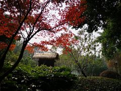 -圩墩遗址公园