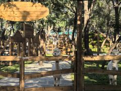 -南戴河国际娱乐中心