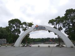 -上海鲜花港