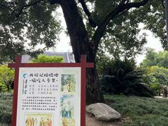 -青羊宫