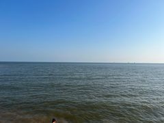-碧海金沙