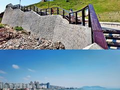 -小麦岛公园