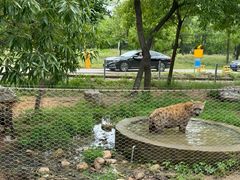 -秦皇岛野生动物园