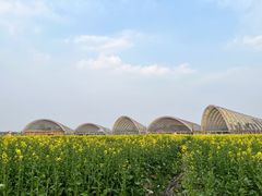 -中国天府农业博览园