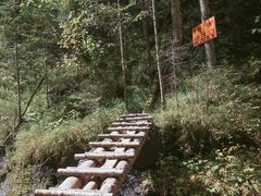 -峡谷浮石林景区
