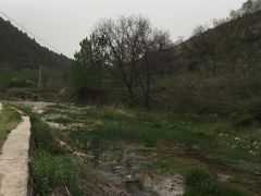 -黄龙山原始森林景区