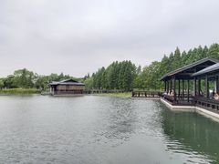 -渤公岛生态公园