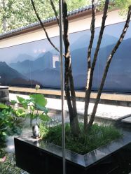 -爱儿美儿童摄影(朝阳公园店)