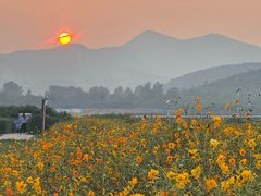 -君乐宝优致牧场