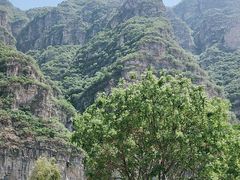 -红井路游艺炖锅·音乐餐吧(十渡店)