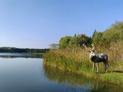 -溱湖国家湿地公园