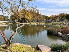 -宁波儿童公园(鄞州区)