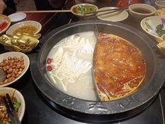 -蜀大侠火锅(四川北路店)