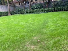 -上海孙中山故居纪念馆