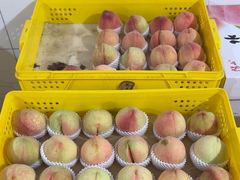 -老袁家蜜桃农场·阳山水蜜桃