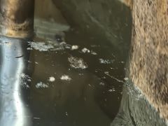 -北京乐多港万豪酒店汤乐宫温泉