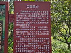 -王借岗森林公园