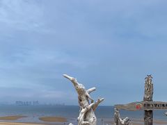 -巨鹏飞梦幻海岸