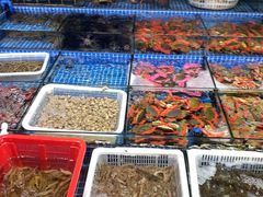 -霞涌市场海鲜摆卖区