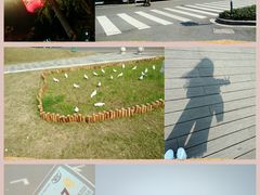 -南京眼步行桥