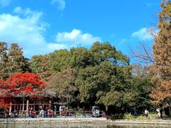 -上海共青森林公园