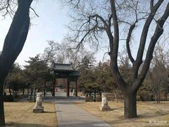 -迎泽公园