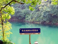 -鼎湖山风景区