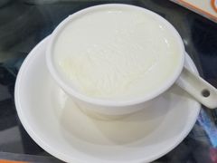 双皮奶-义顺牛奶公司(新马路老店)