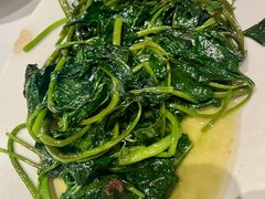 -琬苑鸽庄·川粤融合菜(解放碑总店)