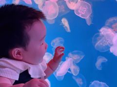 -多彩贵州城极地海洋世界