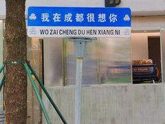 -泡桐树街