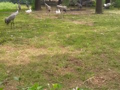 -秦皇岛野生动物园