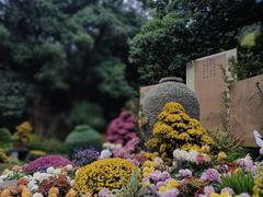 -杭州植物园