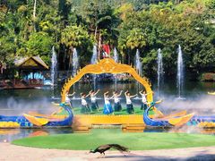 -西双版纳原始森林公园