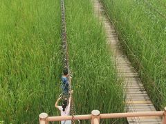 -河北村民俗体验园