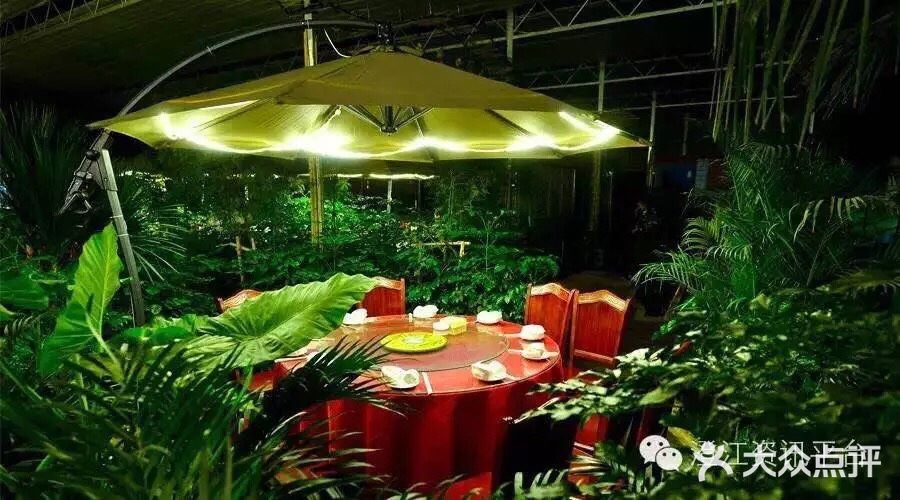 四季农庄-图片-澄江市美食-大众点评网