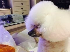 -老徐家柿子饼(北广济街店)