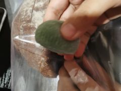 -面包谷Grains n' Beans(九号公馆店)