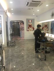 -SALON TV x ILCOLPO