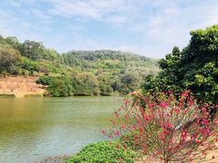 -南国桃园旅游度假区