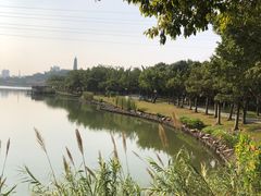 -顺峰山公园