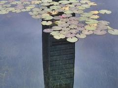 -荔枝公园(福田区)
